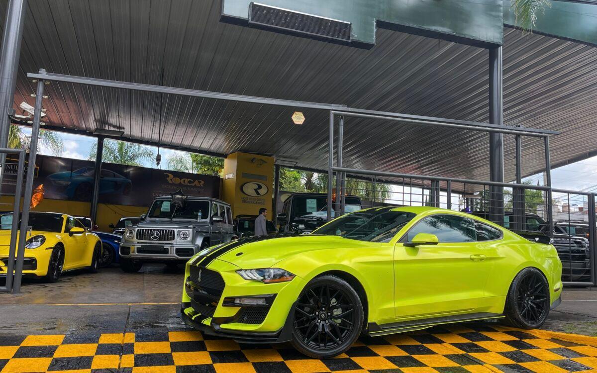 Mustang hero image